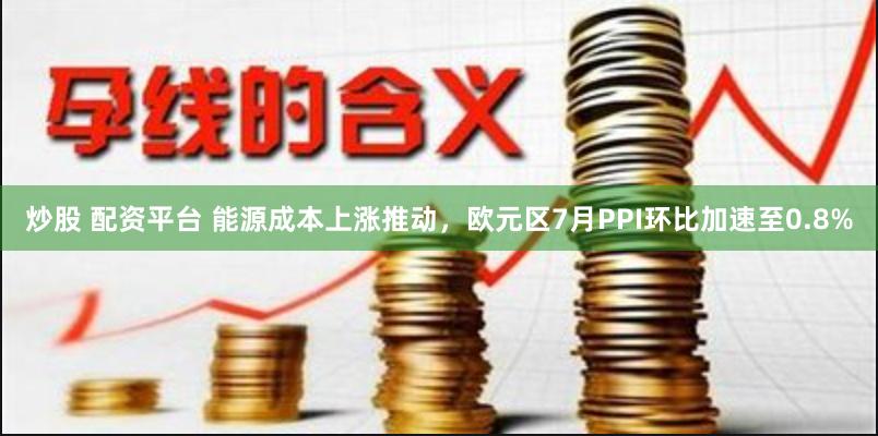 炒股 配资平台 能源成本上涨推动，欧元区7月PPI环比加速至0.8%